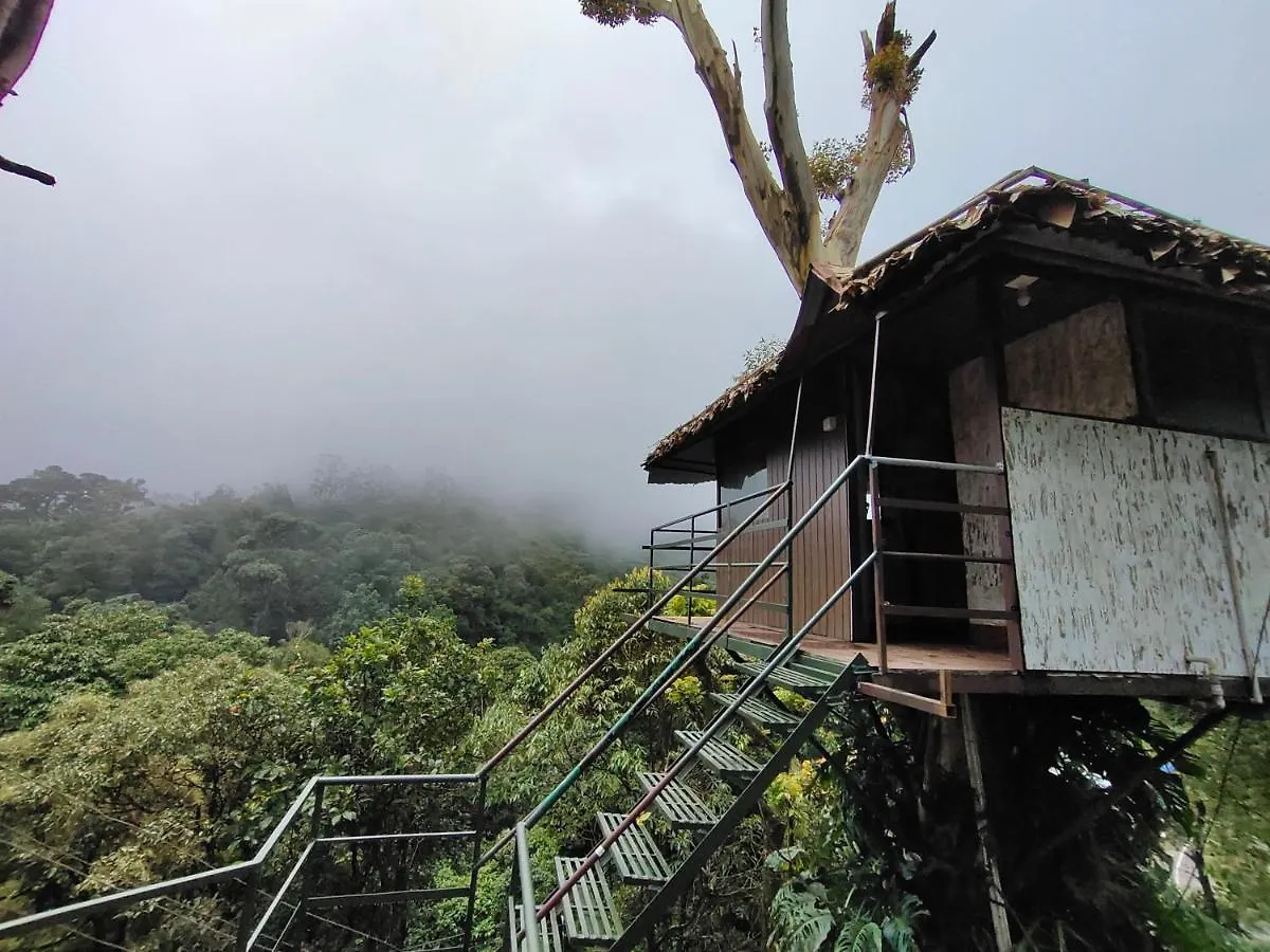 فندق Eco Exotica مونار